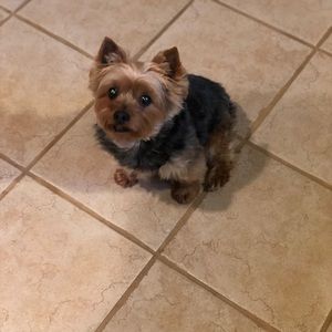 Meet your Posher, Patricia